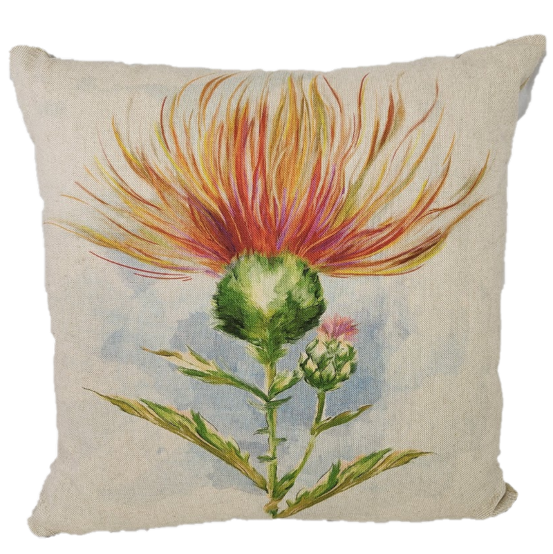 Square Thistle Cushion